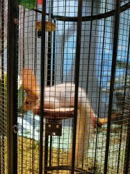 -酷嗒动物文化乐园(cutezoo西溪乐天城店)