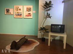 -【朵云轩艺术中心】博洛尼亚插画展·中国巡展·上海站