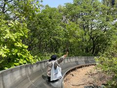 -富斯特索道