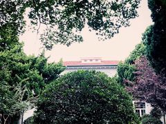 -八大关景区