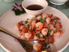 -新吉士·上海菜(浦东LCM置汇旭辉店)