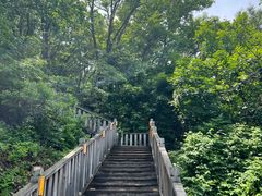 -帽儿山国家森林公园