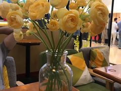 -MUSANG KING猫山王(龙湖杭州滨江天街店)