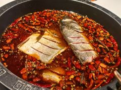 -销魂美蛙鱼头火锅(上海首店)