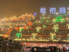 -枇杷园食为鲜火锅(南山店)
