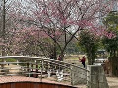-月湖风景区