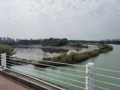-贡湖湾湿地公园