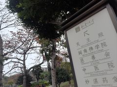 -南普陀素菜馆