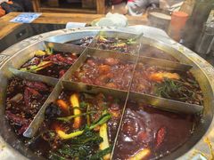 -大龙火锅(老店)