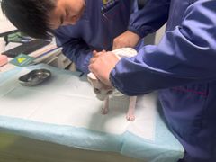 -半岛宠物医院24小时(科华中路店)