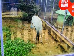 -无锡动物园·太湖欢乐园