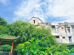 景点-东莞市可园博物馆