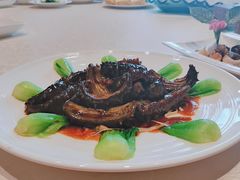 红烧海参-万宝海鲜舫(劳动公园店)