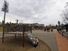 -枫香湖儿童公园