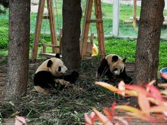 -西安秦岭野生动物园