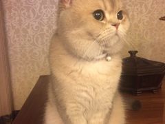 -佳雯宠物医院(四明中路分院)