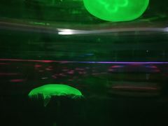 -重庆欢乐海底世界