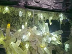 -湖南省地质博物馆