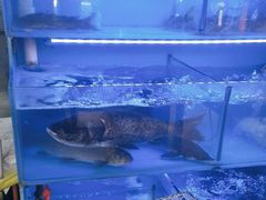 -韩妹鱼庄·泸定老字号(泸定店)