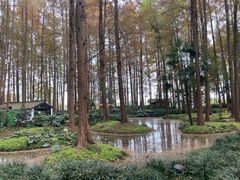 -西湖游船