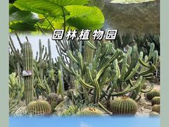 -中山路步行街