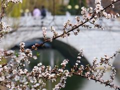 -大连植物园