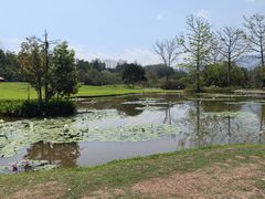 -中国科学院西双版纳热带植物园