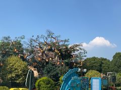 -苏州湾梦幻水世界