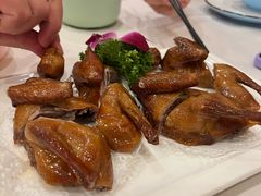 乳鸽-四海之家(蛇口店)