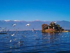-大理洱海