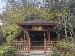 -广州白江湖森林公园