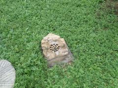 -观唐（国际）度假村温泉
