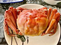 -水岸居湖景农家乐·阳澄湖大闸蟹