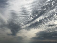 -蒸気海鮮