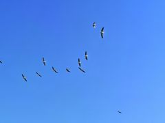 -南沙十九涌渔人码头-南门