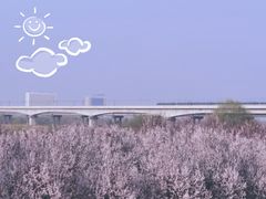 -渭河城市绿地运动公园