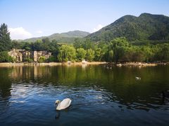 -西安秦岭野生动物园