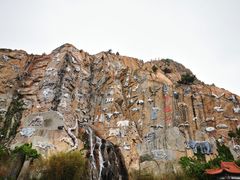 -西霞口神雕山野生动物世界