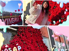 -兴芮温泉度假区