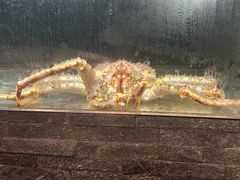 -鱼乐轩海鲜专门店