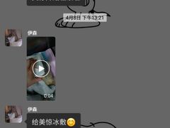 -伟伟宠物医院·CT影像中心·瑞派犬猫综合性门诊(汉口总院)