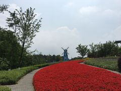 -铁山坪森林公园