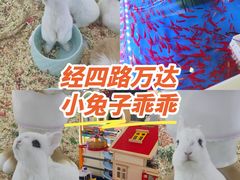 -万达广场(济南魏家庄店)