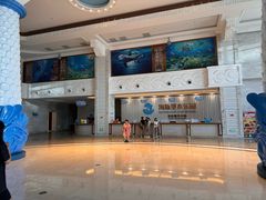 -海豚堡温泉水乐园