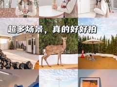 -Blue Concept Cafe&Farm·關於藍