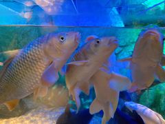 -沈阳海洋探索中心