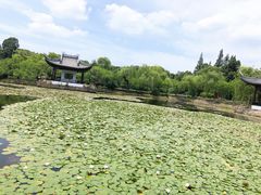 -无锡蠡湖国家湿地公园-蠡园