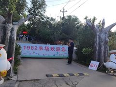 -1982农场
