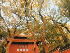 -普陀山风景名胜区-法雨禅寺