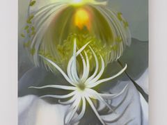 -胶囊画廊